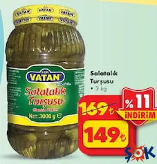 BİZİM VATAN SALATALIK TURŞUSU 3 KG fiyat ve kampanya bilgisi